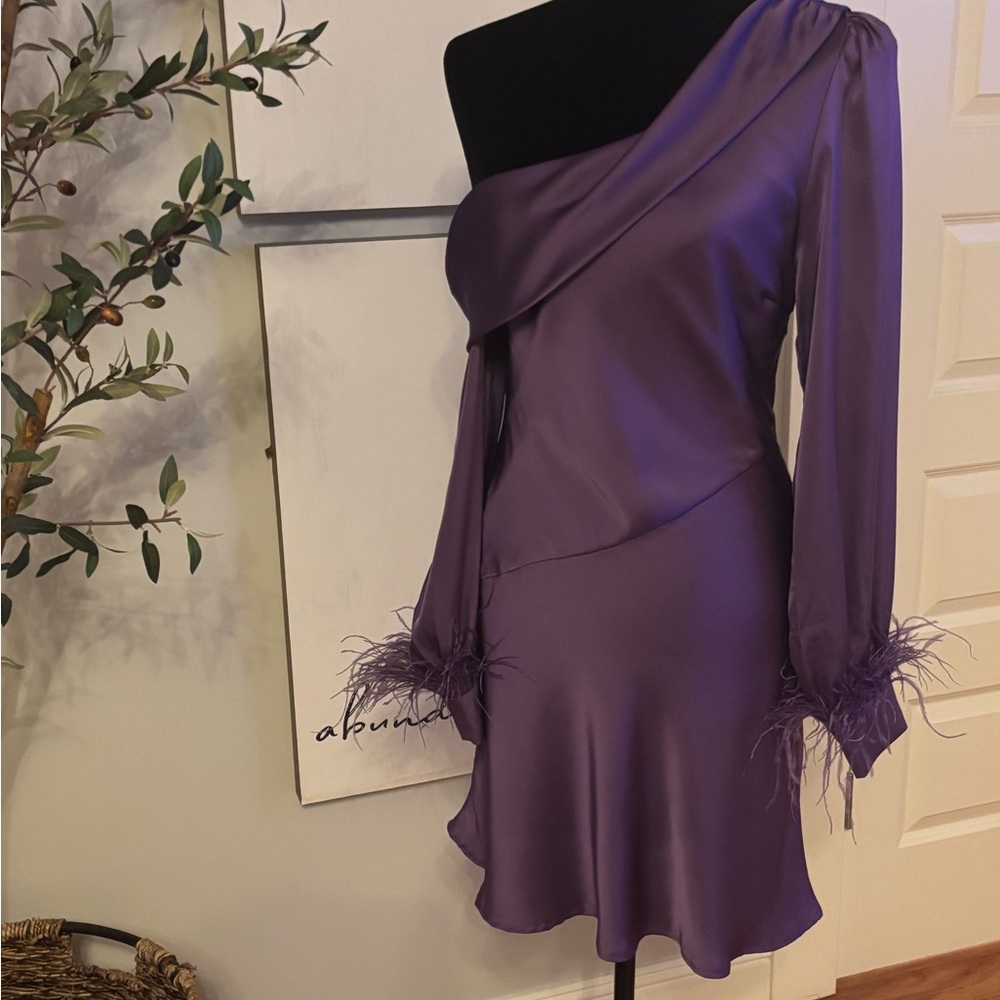 Astr One-Shoulder Purple Dress with Feather Accents